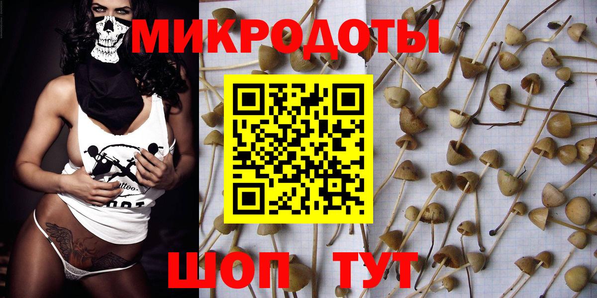Псилоцибиновые грибы мухоморы Анжеро-Судженск